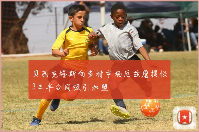 贝西克塔斯向多特中场厄兹詹提供3年半合同吸引加盟
