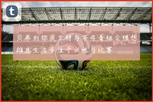 贝弗利称莫兰特与字母哥组合理想雄鹿生活专注于训练与比赛